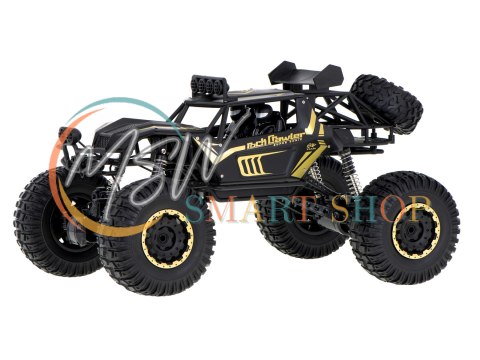 Samochód zdalnie sterowany 2,4GHz 1:8 51cm metal czarny