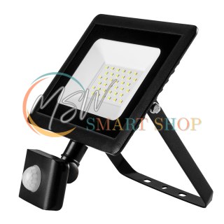Reflektor z czujnikiem ruchu SMD 30W 2550 lm 230V