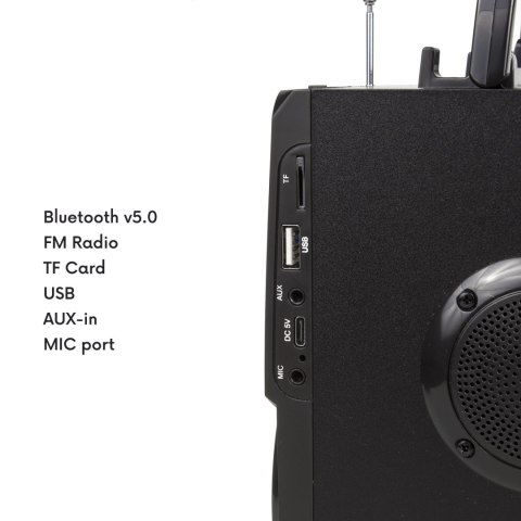 Głośnik przenośny bluetooth Audiocore, radio FM, wejście kart SD/MMC, AUX, USB, pilot, AC730 Głośnik przenośny bluetooth Audiocore, radio FM, wejście kart SD/MMC, AUX, USB, pilot, AC730