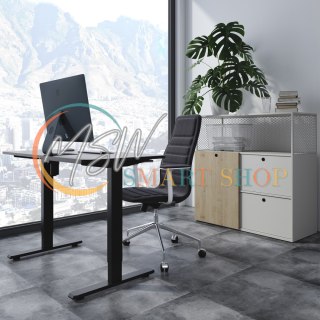 Biurko elektryczne z pojedynczym silnikiem Ergo Office, do pracy w pozycji stojącej, max. 80kg, max. wys. 1160mm, ER-443