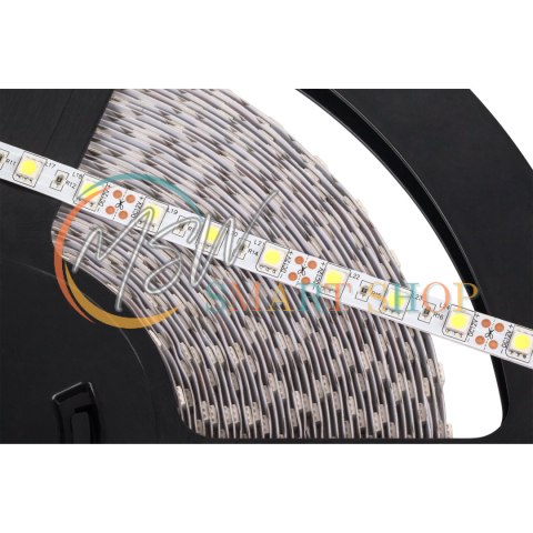 Sznur diodowy 25m Rebel (1500x5050 SMD) zimny biały, 12V Sznur diodowy 25m Rebel (1500x5050 SMD) zimny biały, 12V