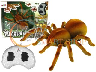 Zdalnie Sterowany Pająk Tarantula Podczerwień Brązowy R/C