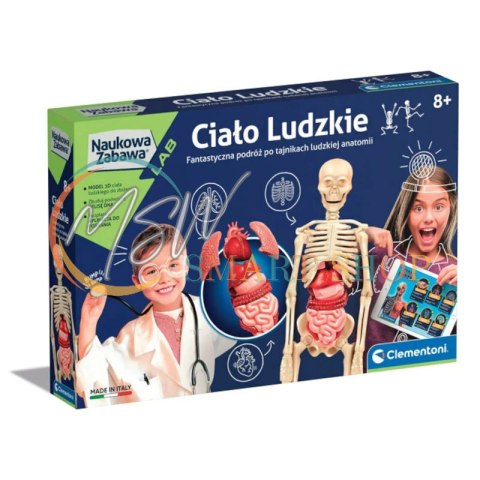 Naukowa Zabawa Ciało Ludzkie Clementoni 60249 Naukowa Zabawa Ciało Ludzkie Clementoni 60249
