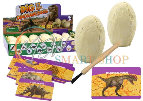 Zestaw Archeologiczny Wykopaliska Dinozaury Jaja Karty 12 Sztuk Zestaw Archeologiczny Wykopaliska Dinozaury Jaja Karty 12 Sztuk