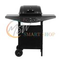 Teesa BBQ 2000 Grill gazowy - 2 palniki