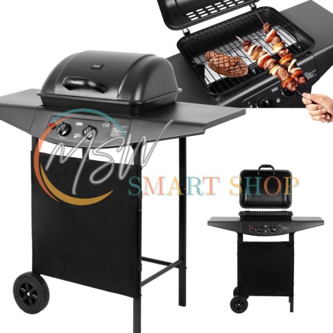 Teesa BBQ 2000 Grill gazowy - 2 palniki Teesa BBQ 2000 Grill gazowy - 2 palniki