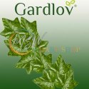 Sztuczny bluszcz- girlanda 25,2m Gardlov 19735