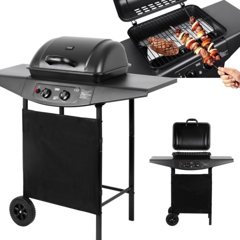 Teesa BBQ 2000 Grill gazowy - 2 palniki Teesa BBQ 2000 Grill gazowy - 2 palniki